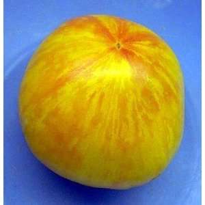  Yellow Striped Boar Tomato 5 Seeds   VERY RARE  Fruity 