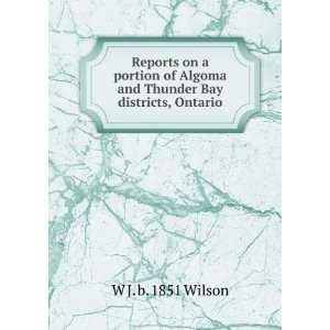   Algoma and Thunder Bay districts, Ontario W J. b. 1851 Wilson Books