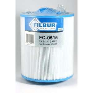  Filbur FC 0515 Antimicrobial Replacement Filter Cartridge 