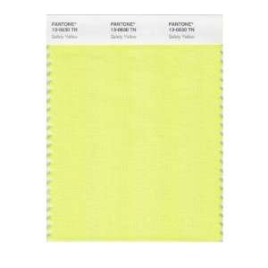  Pantone 13 0630 Nylon Brights Color Swatch Card