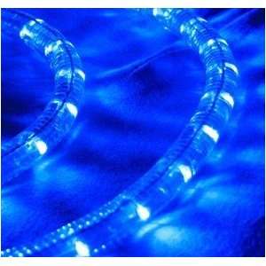 Blue 166 FT 110V 120V 2 Wire 1/2 LED Rope Light, Christmas Lighting 