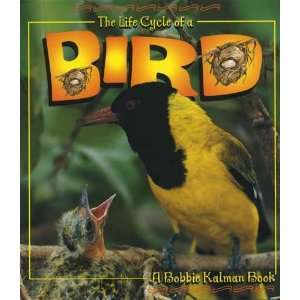  Crabtree Publishing   The Life Cycle of A Bird Everything 