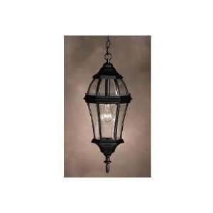  Townhouse   Outdoor Pendant 1Lt