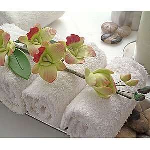  Pale Green Dendrobium Orchid, Decorative Soap Beauty