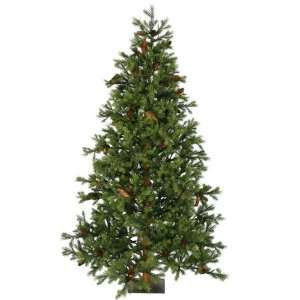  10 x 70 Sau Creek Pine Tree 4980 Tips