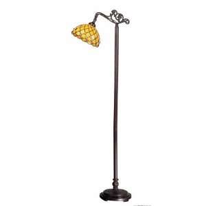  Z Lite Lighting Z10 14BR floor Lamp