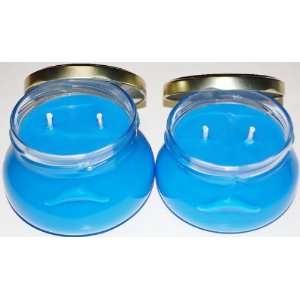  4 Pack of 2   6 oz & 2   8oz Tureen Soy Candles   Bird of 