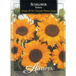  Aimers 3278 Sunflower Soraya Hybrid Seed Packet Patio 