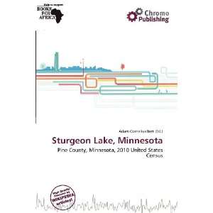   Sturgeon Lake, Minnesota (9786200592170) Adam Cornelius Bert Books