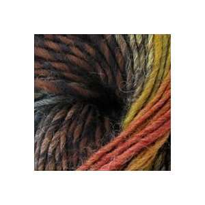    Berroco Geode Rainbow Agate 3644 Yarn Arts, Crafts & Sewing