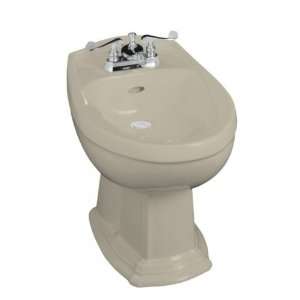  Kohler K 4896 G9 Toilets & Bidets   Bidets Kitchen 