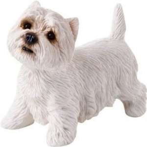  Small Size West Highland White Terrier 