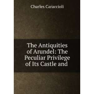  The Antiquities of Arundel The Peculiar Privilege of Its 