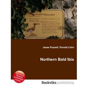  Northern Bald Ibis Ronald Cohn Jesse Russell Books