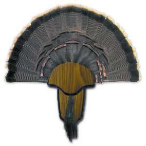   Specialties Turkey Tail and Beard Mounting Kit