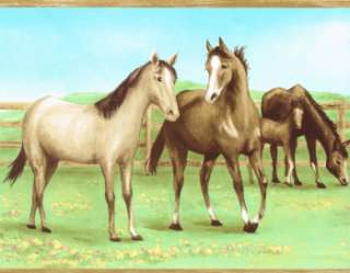   HORSES & COLTS KIDS 9 WIDE IN THE PASTER Wallpaper bordeR Wall  