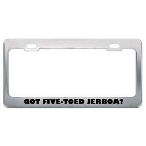 Got Five Toed Jerboa? Animals Pets Metal License Plate Frame Holder 