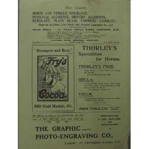   1902 Advertisment FryS Cocoa Engraving Insurance Food