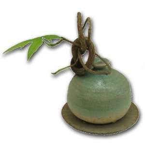  Myluckybamboo   Unique Miniature Money Tree in Ceramic 