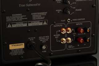 Sunfire True Subwoofer by Bob Carver Works, But Has Rattle PLEASE READ 