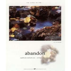 Abandon by Francis Pelletier 19x23 Grocery & Gourmet Food