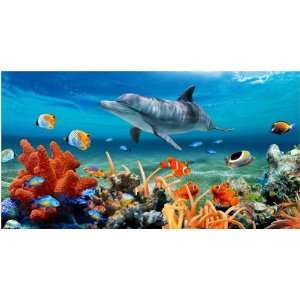   12 Dolphin Coral Reef Beach Towels 30 X 60 Wholesale