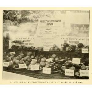  1913 Print 1908 Wisconsin State Fair Fruit Exhibit Apple 