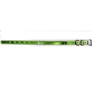  Green Metallic Collar With 10MM Slider Bar Medium   3/4 