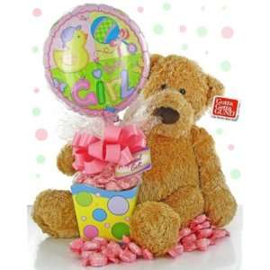  Its A Girl Gund Bear Gift Set Baby