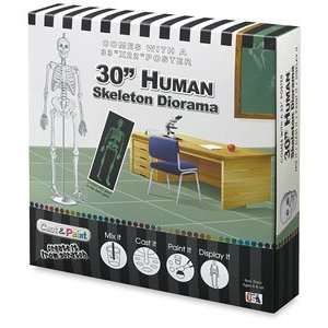  Cast and Paint Mold Kits   Diorama Casting Kit, Human 