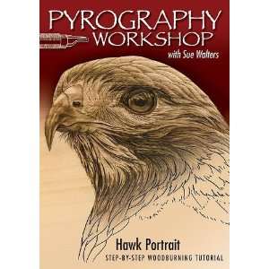  Pyrography Workshop with Sue Walters Hawk Portrait Step 