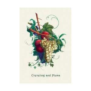  Creveling Grapes and Plums 28x42 Giclee on Canvas