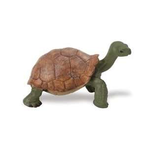  Wild Safari Wildlife Tortoise Toys & Games