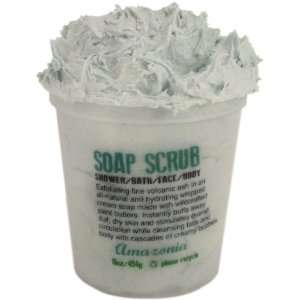  Soapwhip Wildcrafted Soap Scrub ia Beauty