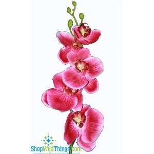  Phalaenopsis (Orchid) Flower Spray   Magenta 30.5
