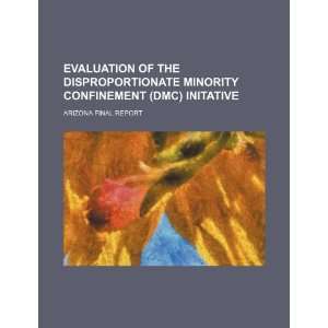  Evaluation of the disproportionate minority confinement 