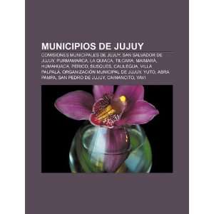  Municipios de Jujuy Comisiones municipales de Jujuy, San Salvador 