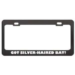 Got Silver Haired Bat? Animals Pets Black Metal License Plate Frame 