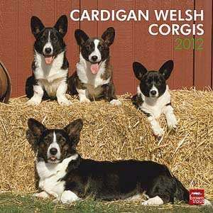  2012 Welsh Corgis Cardigan Calendar