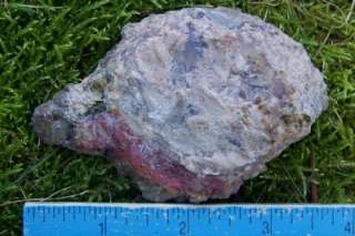 JVC Rare White Rock Springs Carnelian Thunderegg polished half  