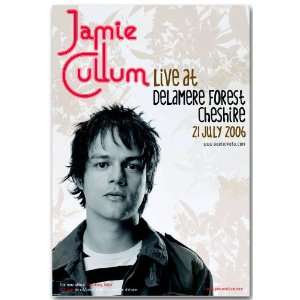  Jamie Cullum Poster   C Concert Flyer