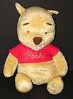 Disney Winnie the Pooh 80 Year Anniversary Teddy Bear 24 Stuffed 