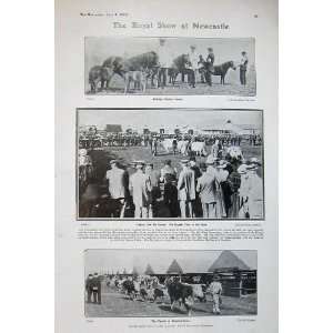   1908 Royal Show Newcastle Ponies Cows Cromer Golf Club
