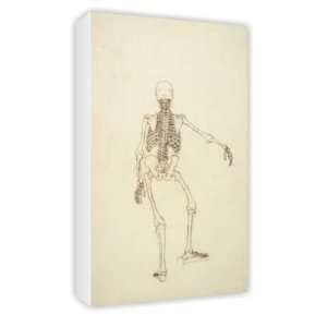  Study of the Human Figure, Posterior View,   Canvas 