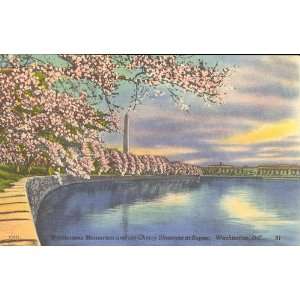  Washington Monument,cherry blossoms,sunset,Tidal Basin,postcard,DC 