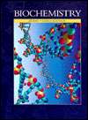 Biochemistry, (0697142671), Geoffrey Zubay, Textbooks   
