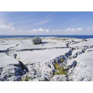  The Burren, Limestone Rock, County Clare, Munster, Republic 