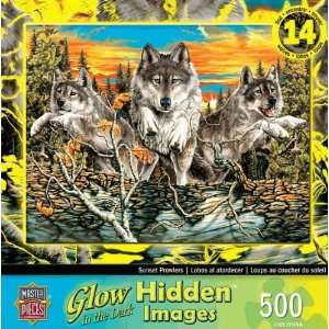 Four Hidden Images Glow in the Dark Puzzles by Masterpieces American 