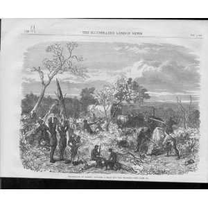  African Travel Cutting Waggon Road 1868