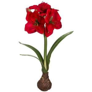  21 Standing Amaryllis w/Bulb Red (Pack of 4)